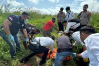 1761629640318-polisi-mengevakuasi-mayat-bocah-perempuan-diduga-korban-pemerkosaan-di-merauke-1761619657335_169