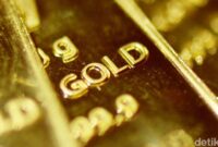 1761802539946-52585041-6d00-4e2d-a06f-ca20024021ac_169