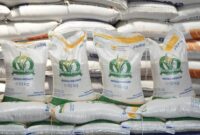 1761975035792-bansos-beras-1761892601695_169