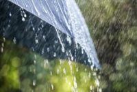 1762169823656-ilustrasi-hujan-1_169