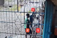 1762169867981-yahukimo-1762139169854_169