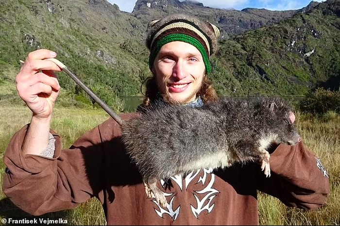 1762320858005-tikus-raksasa-1747906271570