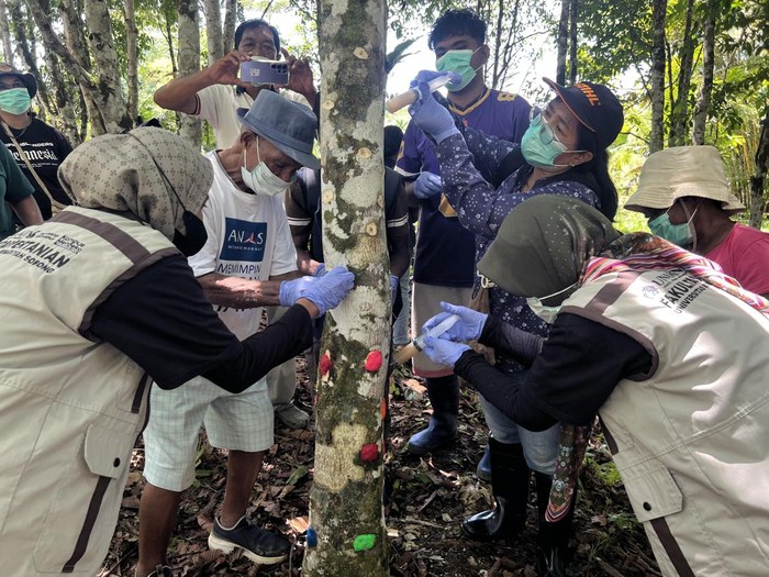 1762363792298-pelaksanaan-penyuntikan-inokulum-gaharu-dengan-inovasi-terbaru-acremonium-sp-di-sorong-papua-barat-daya-1762340033864_43