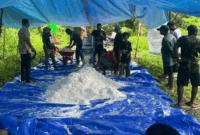 1762428929203-dosen-unamin-terapkan-inovasi-mesin-parut-sagu-kepada-petani-di-kampung-kampung-yeflio-kabupaten-sorong-papua-barat-daya-1762426725420_169