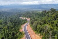 1762429444286-belah-hutan-lebat-ini-dia-jalan-muri-kwatisore-di-papua-3_169
