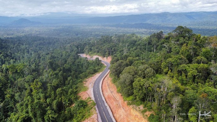 1762429444286-belah-hutan-lebat-ini-dia-jalan-muri-kwatisore-di-papua-3_169