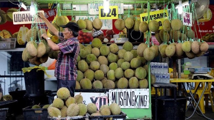 1763379517248-durian-varian-musang-king-dan-d24-menempatkan-malaysia-pada-peta-sebagai-rumah-durian-kelas-dunia-1762842191738_169