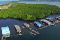 1763528745114-hutan-bakau-di-jayapura-ini-hanya-boleh-dimasuki-perempuan_169