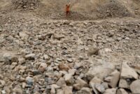 1764608781198-93e7e778-095e-4146-bd9e-e64f607101d6_169