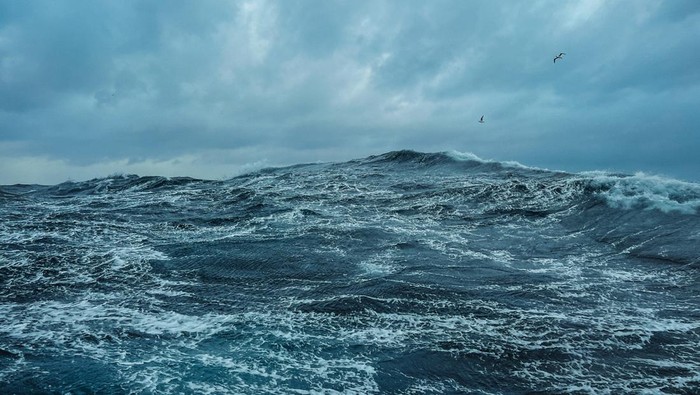 1764673565760-ilustrasi-laut-1759544468355_169