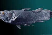 1764695166093-fosil-hidup