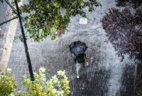 1765019135719-ilustrasi-hujan-1762235553812_169