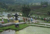 1765105545354-potret-ramainya-bali-diserbu-turis-asing-1_169