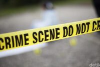 1765170339861-ee5711ef-e911-45b4-8c03-0f958db2a558_169