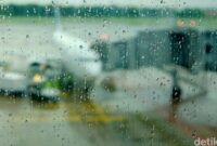 1765256750151-27769e80-3b3e-4091-a5f2-af1ae1dc233f_169