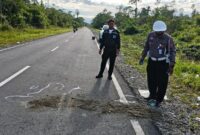 1765299915892-mimika-1765274833413_169