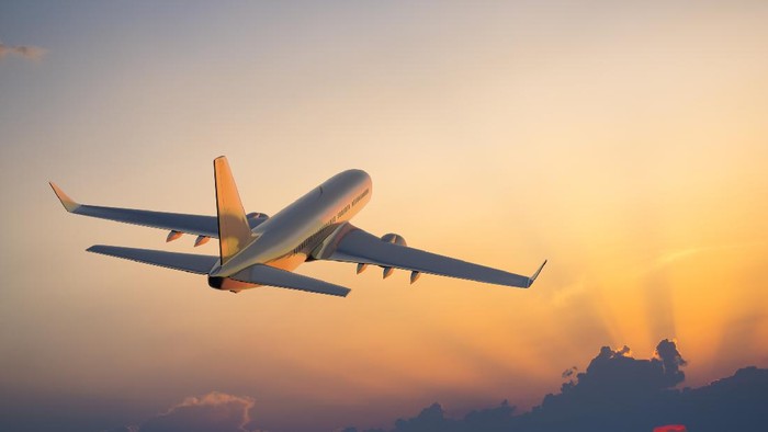 1765343136308-93afbd00-14a2-4d52-af94-1f4e51a7c972_169