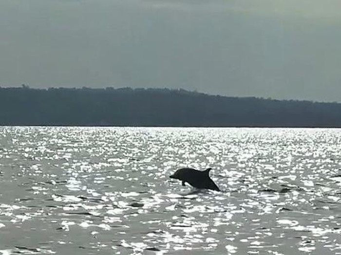 1765343141185-1a76f853-9ec7-4253-ba2a-89681152d879_43