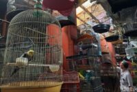 1765429563593-pasar-burung-bratang-di-surabaya-1765368558113_169
