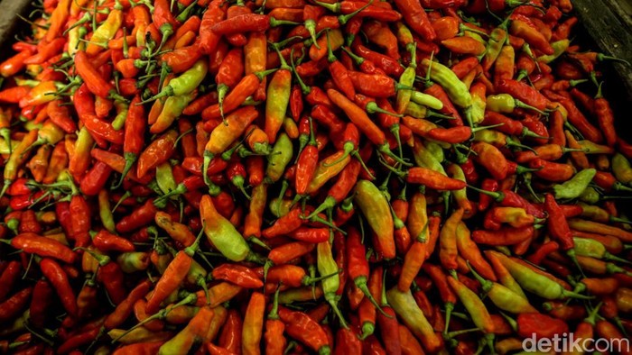 1765645516007-harga-cabai-rawit-merah-tembus-rp-120-ribu-5_169