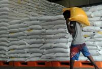 1766034338233-stok-beras-bulog-di-papua-dan-papua-barat-aman-1_169