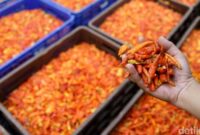 1766055993782-7afca18d-04c1-4c95-9f96-32479a0b34da_169