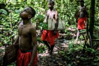 1766077541246-menjaga-impian-suku-tehit-3