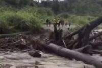 1766228746103-viral-gelondongan-kayu-terbawa-banjir-putus-jembatan-di-keerom-papua-1766224638369_169