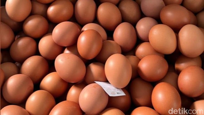 1766487942109-telur-ayam-ras-di-pangandaran-1760078812934_169