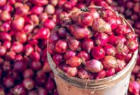 1767006348422-bawang-merah-1764743865285_169