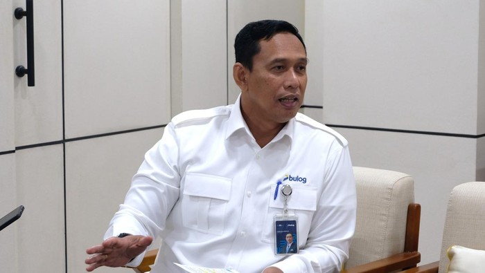 1767071150780-dirut-bulog-ahmad-rizal-ramdhani-1767018144941_169