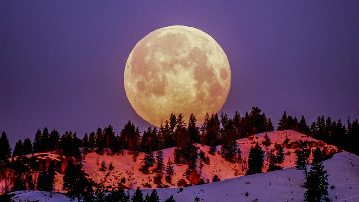1767352042203-supermoon-1767342459861_169