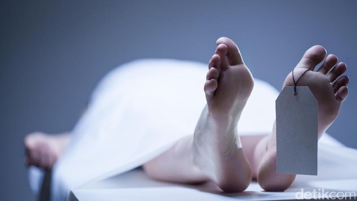 1767373523406-79a5c917-e4da-48b5-8528-0e39924ba89b_169