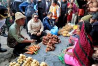 1768453544462-dampingi-kunker-gibran-wamendagri-tegaskan-percepatan-pembangunan-papua-1768448569924